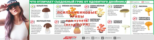 ПСИЛОЦИБИНОВЫЕ ГРИБЫ Семилуки