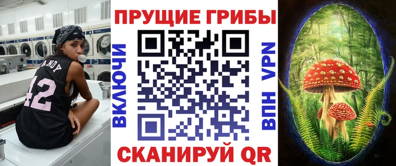 Галлюциногенные грибы Psilocybe  Магас 