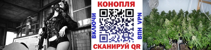 сайты даркнета телеграм как найти наркотики Магас Шишки марихуана конопля mega ссылки